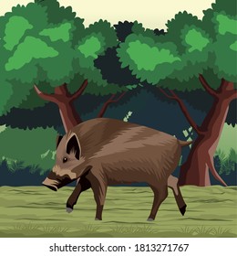 wild pig animal nature in the landscape vector illustration design