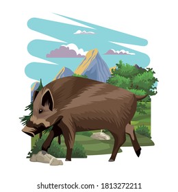 wild pig animal nature in the landscape vector illustration design
