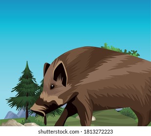 wild pig animal nature in the landscape vector illustration design