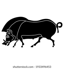 Wild pig or boar. Ethnic folk style. Ancient Greek vase painting animal motif. Black and white silhouette.