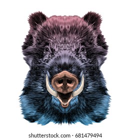 wild pig muzzle with fangs sketch vector graphics color pattern gradient from blue to pink