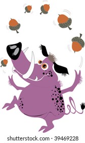 Wild pig playing with the acorns