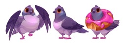 Wild Pigeon Cartoon Character In Different Poses. Vector Illustration Set Of Funny Blue City Bird Standing, Waving Wings And Holding Bitten Donut Piece On Neck. Animal Mascot With Various Expression.