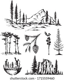 Wild Pine Tree Landscape Hand Drawn Vector Board