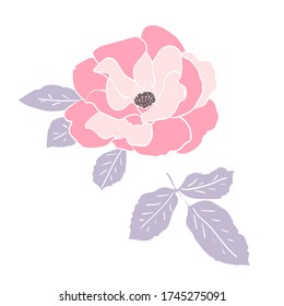 Wild pink rose flower and leaf with white outline. Hand drawn floral clip art for postcards or logo. Design for  stickers. Stock vector illustration isolated on white background.
