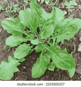 Wild plant pattern. Vector illustration.
