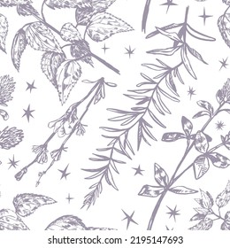 Wild plants, field flowers abstract ornament. Hand drawn vector seamless pattern. Floral ornament in retro sketch style. Vintage botanical design.