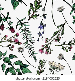 Wild plants, field flowers ornament. Floral ornament in retro style. Hand drawn vector seamless pattern. Abstract botanical design for background, decor.