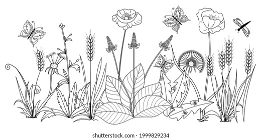 Wild plants, flowers, butterflies and dragonflies on a white background. Anti-stress coloring book for children and adults