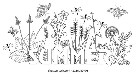 Wild plants, flowers, butterflies, dragonflies and the inscription "summer" on a white background. Anti-stress coloring book for children and adults