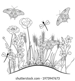 Wild plants, flowers and butterflies on a white background. Black outline drawing. The page of the anti-stress coloring book. Art therapy for adults and children