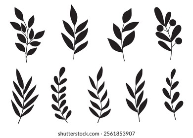 Wild Plants Leaves Black Silhouettes Isolated on White Background. Branches and Leaves Silhouettes set. 