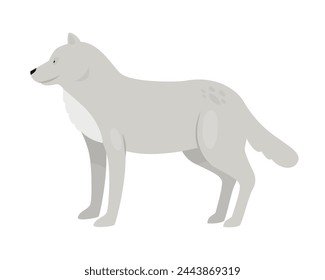 Wild polar wolf. Arctic and antarctic animals, snow fauna cartoon vector illustration