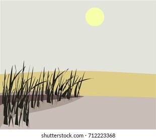 wild pond evening