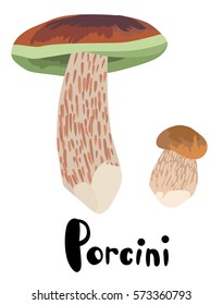 Wild Porcini Mushrooms with Typography