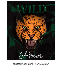 Wild Power slogan with Amur Leopard face. Vector illustration