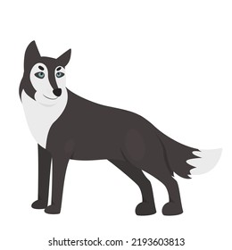 Wild predator wolf. Howling wildlife dog, forest carnivore hunter vector illustration