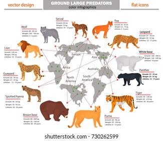 Wild predators, their habitat, growth, weight and longevity color infographics