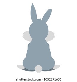 wild rabbit animal back with nice tail