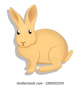 Wild rabbit icon. Cartoon of wild rabbit vector icon for web design isolated