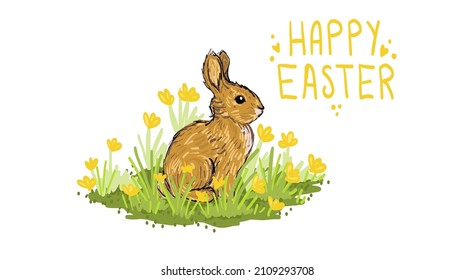 A wild rabbit in a meadow in a loose hand drawn style. Vector illustration