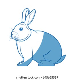 wild rabbit nature rodent farm image