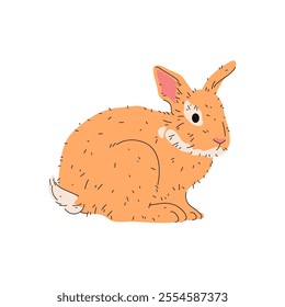 Wild rabbit sitting or cartoon domestic hare. Vector european breed of leporidae animal. Furry and wool mascot for zoo. Icon with flat sitting mammal. Wildlife or home pet. Biology and pikas fauna