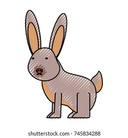 wild rabbit vector illustration