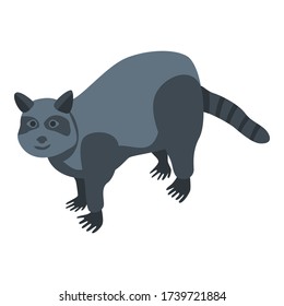 Wild raccoon icon. Isometric of wild raccoon vector icon for web design isolated on white background