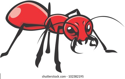 Wild Red Ant Illustration