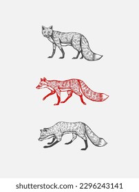 Wild red fox set. Forest ginger animal flying and jumping. Vector Engraved hand drawn Vintage sketch for label or poster.