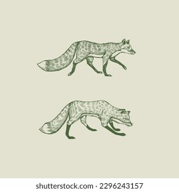 Wild red fox set. Forest ginger animal flying and jumping. Vector Engraved hand drawn Vintage sketch for label or poster.