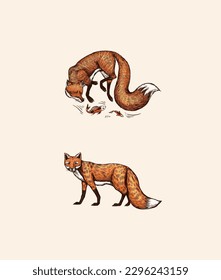 Wild red fox set. Forest ginger animal flying and jumping. Vector Engraved hand drawn Vintage sketch for label or poster.