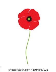 Wild Red Poppy Flower Isolated On White Background. Vector Illustration.