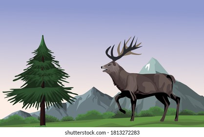 wild reindeer animal in the landscape vector illustration design