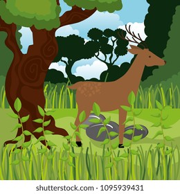 wild reindeer in the jungle scene