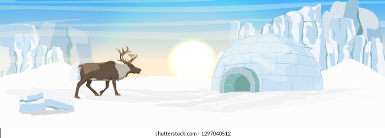 Un reno silvestre camina cerca de la casa de hielo del iglú. Los esquimales del asentamiento. Animales de Rusia, Canadá, Estados Unidos, Escandinavia e Islandia. Al norte. Paisaje vectorial realista