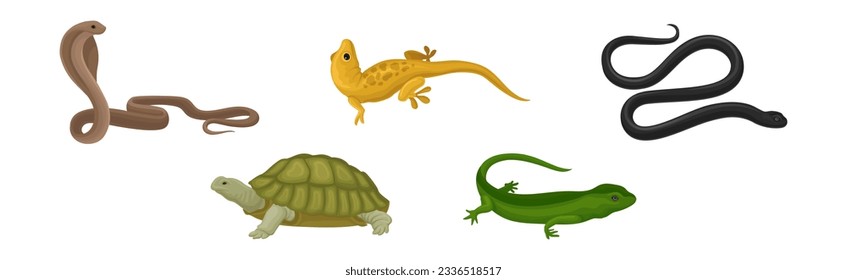 Reptiles salvajes con conjunto de vectores Cobra, Tortuga, Lizard y Serpiente