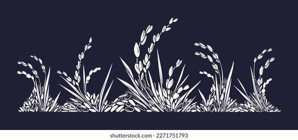 Wild rice border. Vector different white grains, texture field, plant on black background. Organic milk, gluten free flour