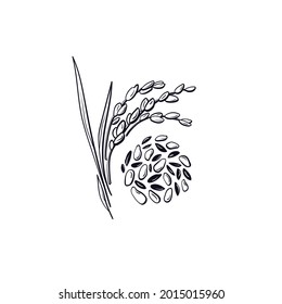 Wild Rice Plant, Black And White Grain. Vector Graphic Farm Symbol For Market. Natural Organic Food, Vegan Milk, Gluten Free Flour.