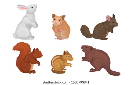 Wild Rodent Animals Set, Chipmunk, Chinchilla, Hamster, Squirrel, Rabbit, Cavy Vector Illustration