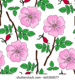 Wild rose, briar, hand drawn dogrose berry vector illustration isolated on white background, seamless pattern decorative rosehip for design cosmetic, natural medicine, herbal tea,health organic food