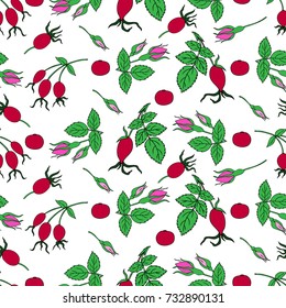 Wild rose, briar, hand drawn dogrose berry, leaves vector illustration isolated on white background, seamless pattern decorative rosehip for design cosmetic, natural medicine, herbal tea, organic food