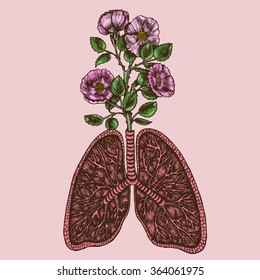 Wild rose bush growing out of the lungs. Symbolic image of the senses. Vector illustration.