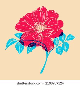 Wild Rose. Colorful Cute Screen Printing Effect. Riso Print Effect. Vector Illustration. Graphic Element  For Fabric, Textile, Clothing, Wrapping Paper, Wallpaper