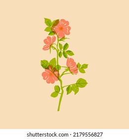 Wild rose. Colorful cute screen printing effect. Riso print effect. Vector illustration. Graphic element  for fabric, textile, clothing, wrapping paper, wallpaper