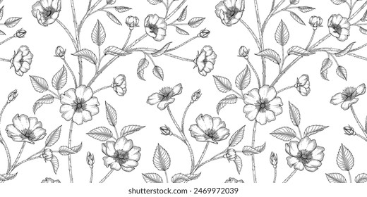 wild rose floral pattern black and white illustration