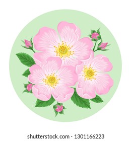 Wild rose flower. Round banner with  bouquet of pink flowers of Rosehip on  bright green background. Vector floral illustration in cartoon flat style.
