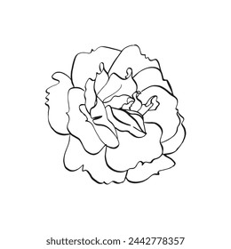 Wild rose flower. Vector hand drawn floral illustration of blooming rose hip in line art style. Sketch in black and white colors on isolated background. Botanical contour drawing for logo or print