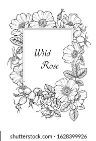 Wild rose flowers and berries card template, line art drawing. Floral rectangular border frame. Outline vector illustration isolated on white background. Hand drawn rose hip bouquets